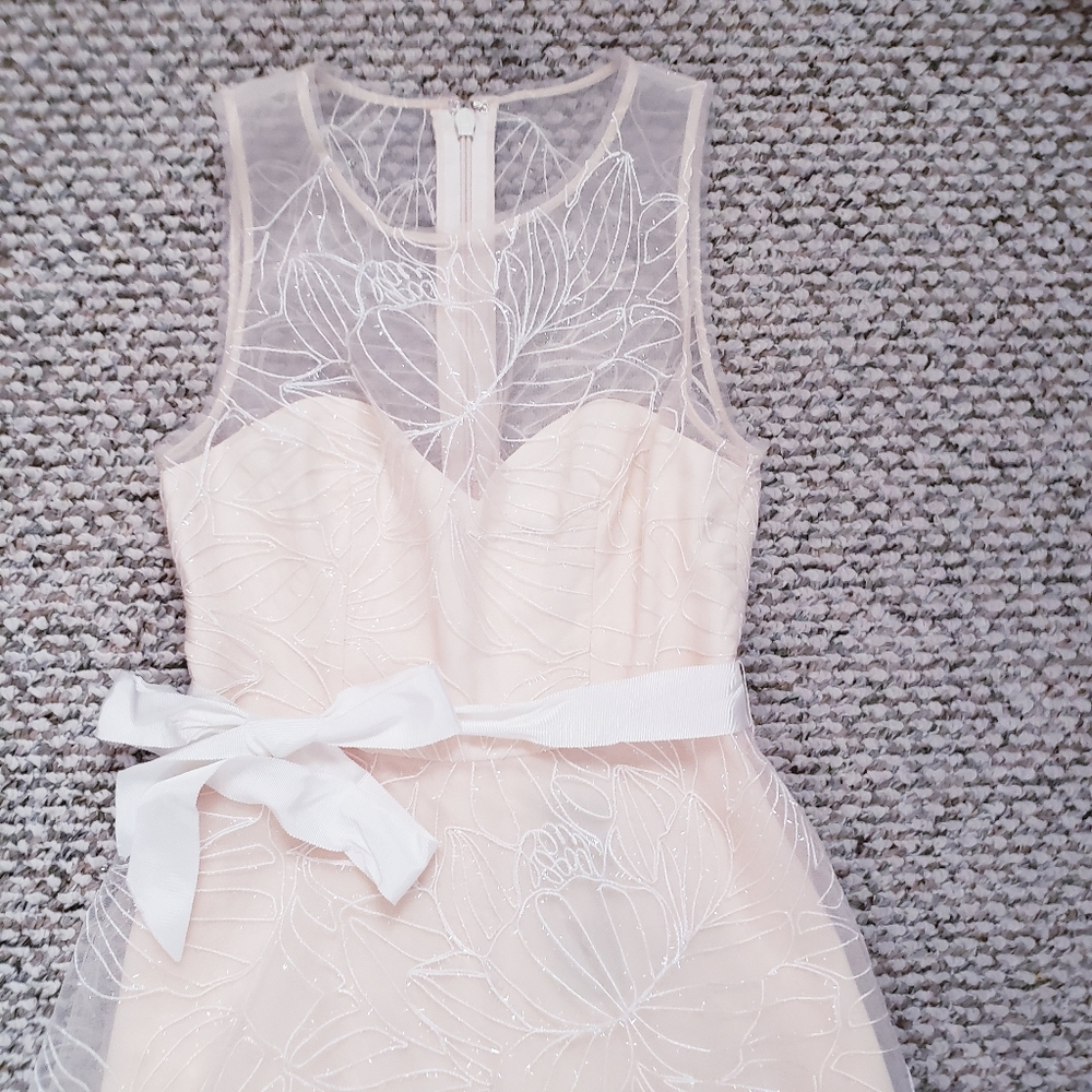 BCBG Embroidered Illusion Dress - Picture 5 of 8